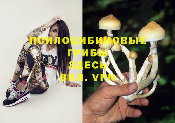 наркотики Горнозаводск
