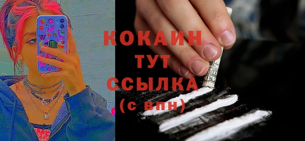 mdpv Горняк