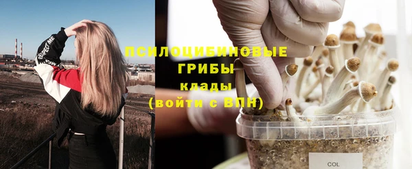 mdpv Горняк